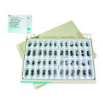 Coronas Metalicas ND96 Estuche