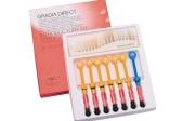Gradia Direct Jeringas Kit Intro -002039-