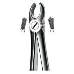 Forceps Martin E17
